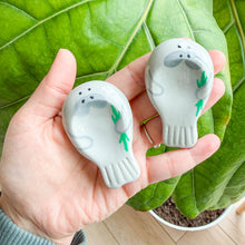 Load image into Gallery viewer, Manatee Focus Friends (worry stones)